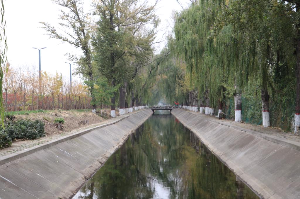 1605836704907076.jpg 2A01462E06E57A813B15E3E9503_A1D8AFBE_1E572.jpg